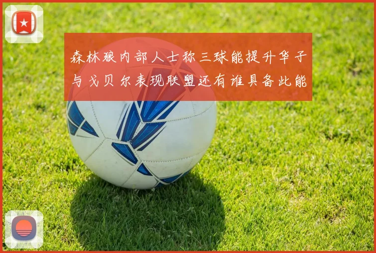 森林狼内部人士称三球能提升华子与戈贝尔表现联盟还有谁具备此能力