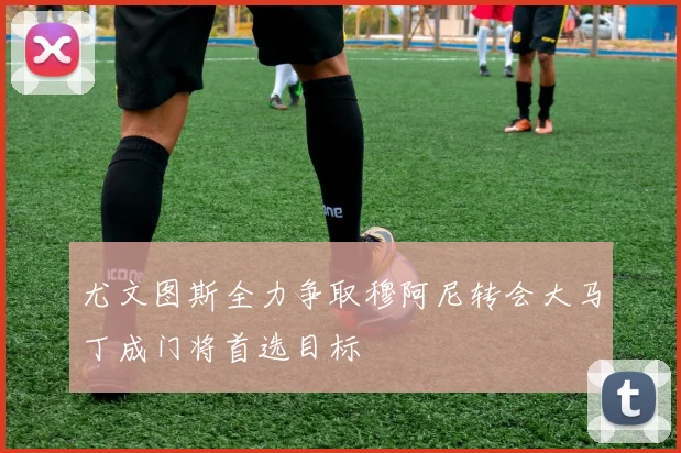 尤文图斯全力争取穆阿尼转会大马丁成门将首选目标